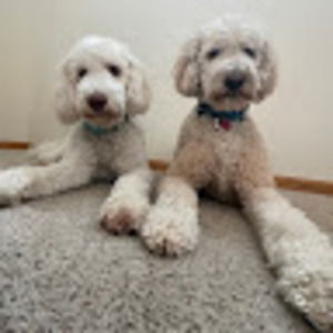 Meet your Posher, Tim